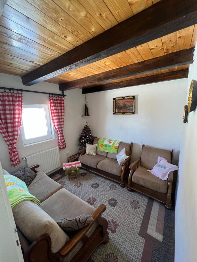 Kuca Miladinovic Villa Kopaonik Ngoại thất bức ảnh